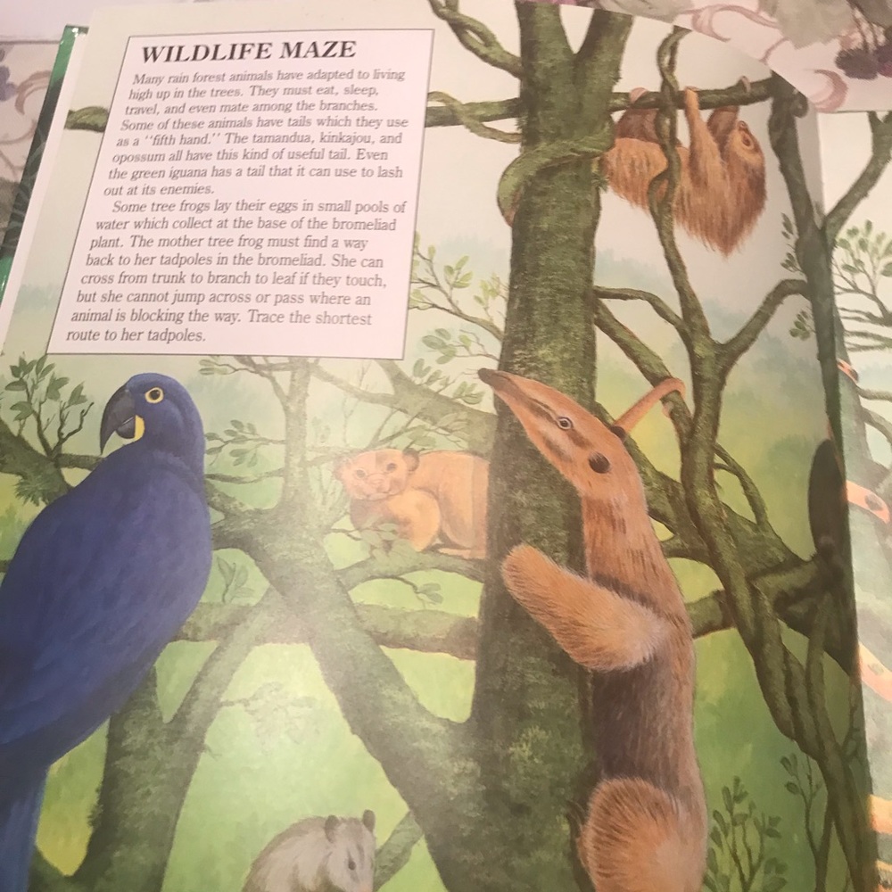 THREE WONDERFUL BOOKS - Picture 4 of 9